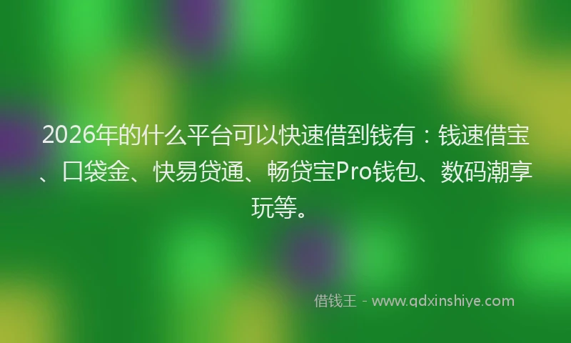 2026年的什么平台可以快速借到钱有:钱速借宝、口袋金、快易贷通、畅贷宝Pro钱包、数码潮享玩等。
