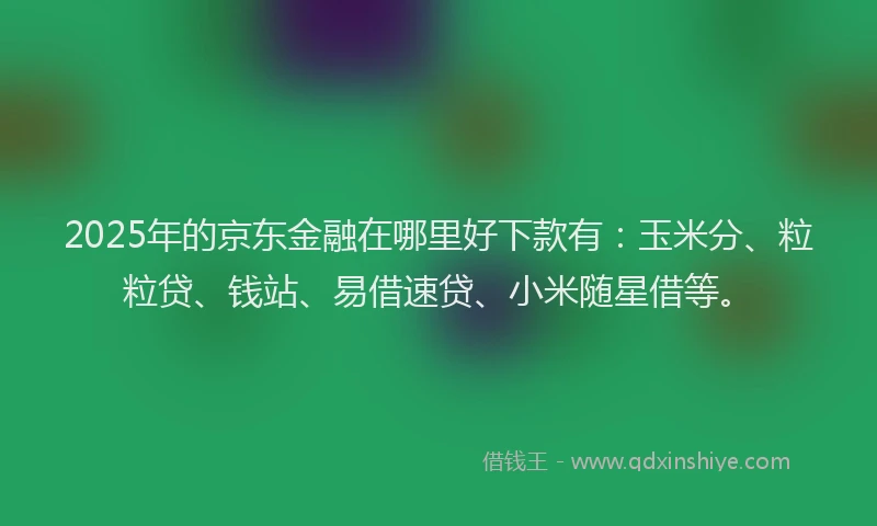 2025年的京东金融在哪里好下款有：玉米分、粒粒贷、钱站、易借速贷、小米随星借等。