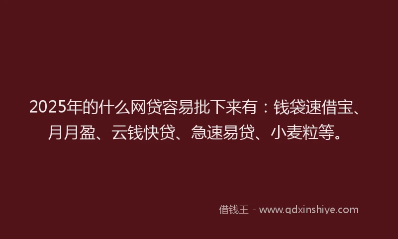 2025年的什么网贷容易批下来有：钱袋速借宝、月月盈、云钱快贷、急速易贷、小麦粒等。