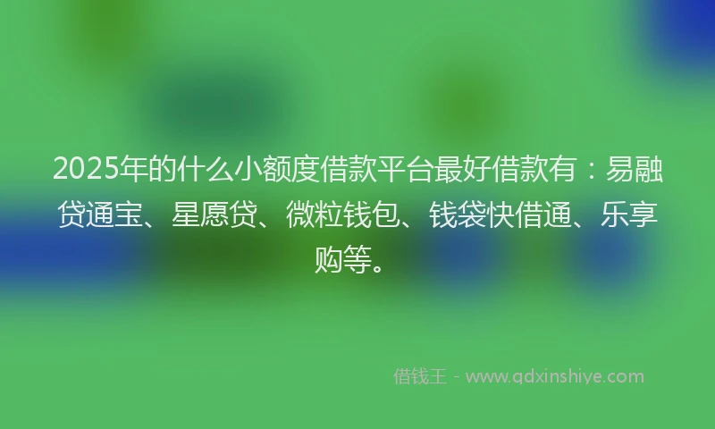 2025年的什么小额度借款平台最好借款有:易融贷通宝、星愿贷、微粒钱包、钱袋快借通、乐享购等。