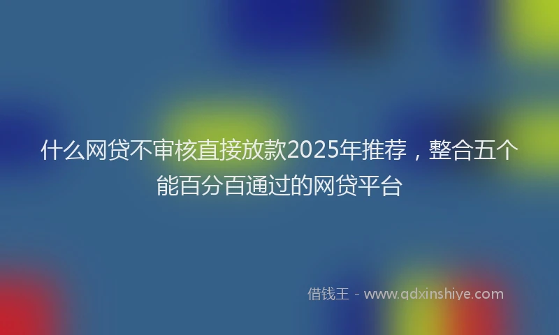 什么网贷不审核直接放款2025年推荐，整合五个能百分百通过的网贷平台