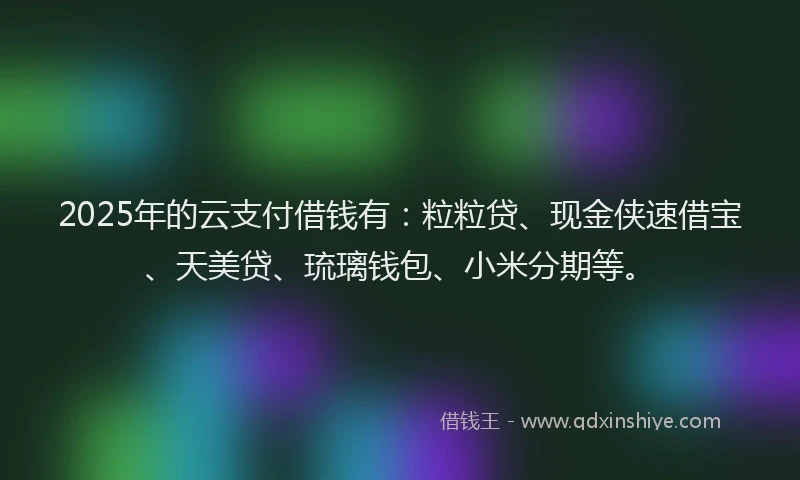 2025年的云支付借钱有：粒粒贷、现金侠速借宝、天美贷、琉璃钱包、小米分期等。