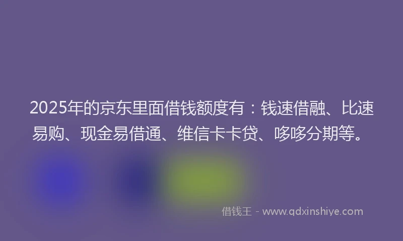 2025年的京东里面借钱额度有：钱速借融、比速易购、现金易借通、维信卡卡贷、哆哆分期等。