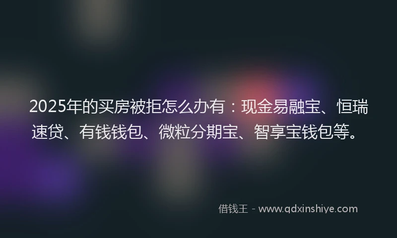 2025年的买房被拒怎么办有：现金易融宝、恒瑞速贷、有钱钱包、微粒分期宝、智享宝钱包等。