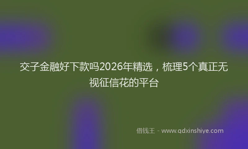 交子金融好下款吗2026年精选，梳理5个真正无视征信花的平台