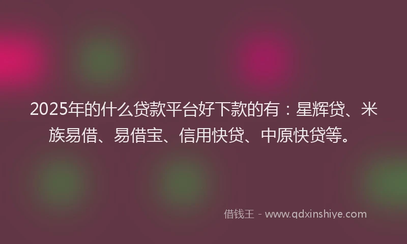 2025年的什么贷款平台好下款的有：星辉贷、米族易借、易借宝、信用快贷、中原快贷等。
