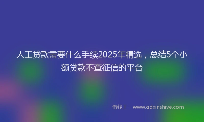 人工贷款需要什么手续2025年精选，总结5个小额贷款不查征信的平台