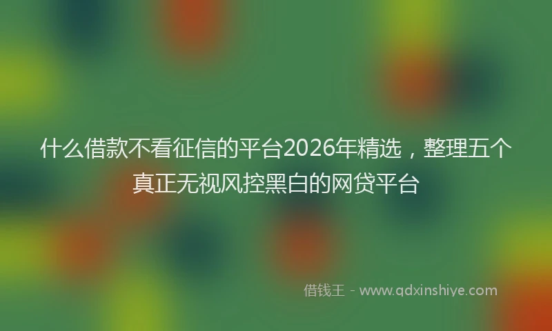 什么借款不看征信的平台2026年精选，整理五个真正无视风控黑白的网贷平台