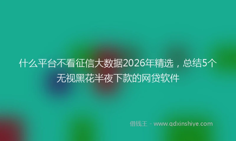 什么平台不看征信大数据2026年精选,总结5个无视黑花半夜下款的网贷软件