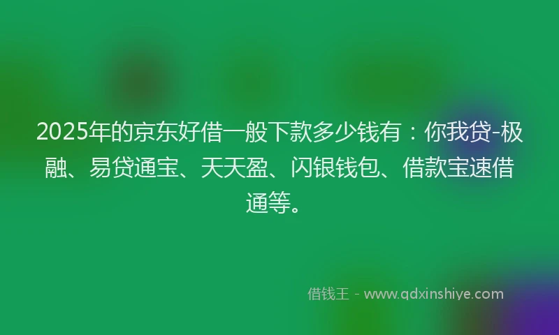 2025年的京东好借一般下款多少钱有：你我贷-极融、易贷通宝、天天盈、闪银钱包、借款宝速借通等。