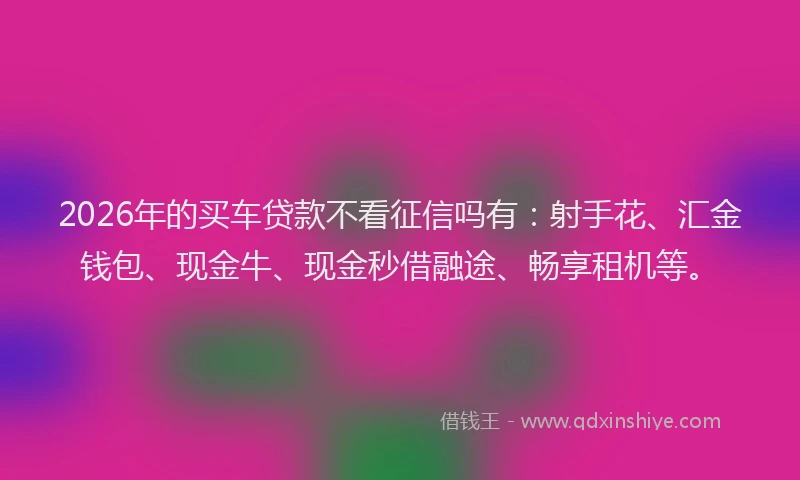 2026年的买车贷款不看征信吗有：射手花、汇金钱包、现金牛、现金秒借融途、畅享租机等。