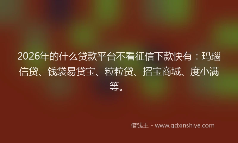 2026年的什么贷款平台不看征信下款快有：玛瑙信贷、钱袋易贷宝、粒粒贷、招宝商城、度小满等。