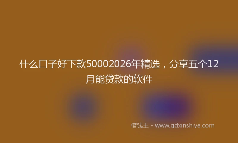 什么口子好下款50002026年精选，分享五个12月能贷款的软件