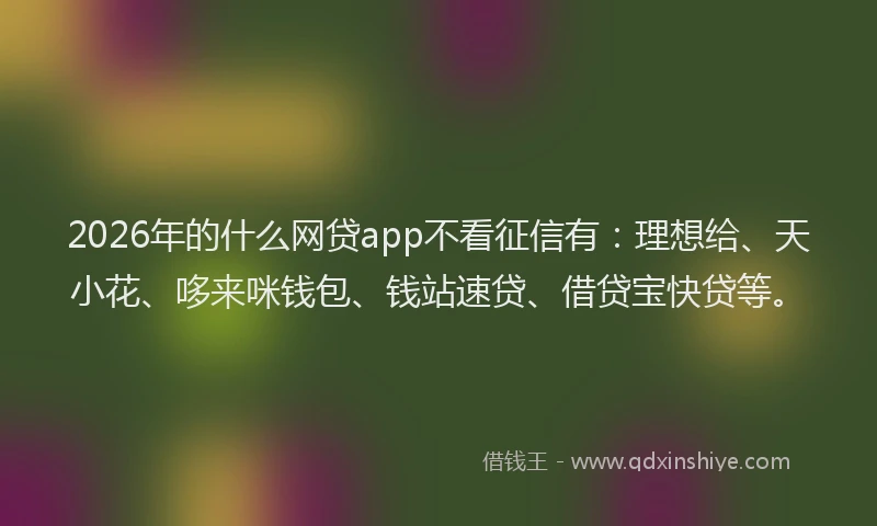 2026年的什么网贷app不看征信有：理想给、天小花、哆来咪钱包、钱站速贷、借贷宝快贷等。
