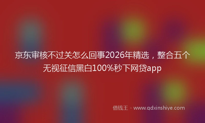 京东审核不过关怎么回事2026年精选，整合五个无视征信黑白100%秒下网贷app