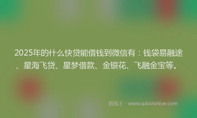 2025年的什么快贷能借钱到微信有：钱袋易融途、星海飞贷、星梦借款、金银花、飞融金宝等。