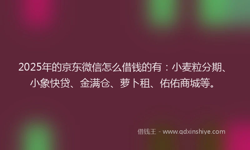 2025年的京东微信怎么借钱的有：小麦粒分期、小象快贷、金满仓、萝卜租、佑佑商城等。