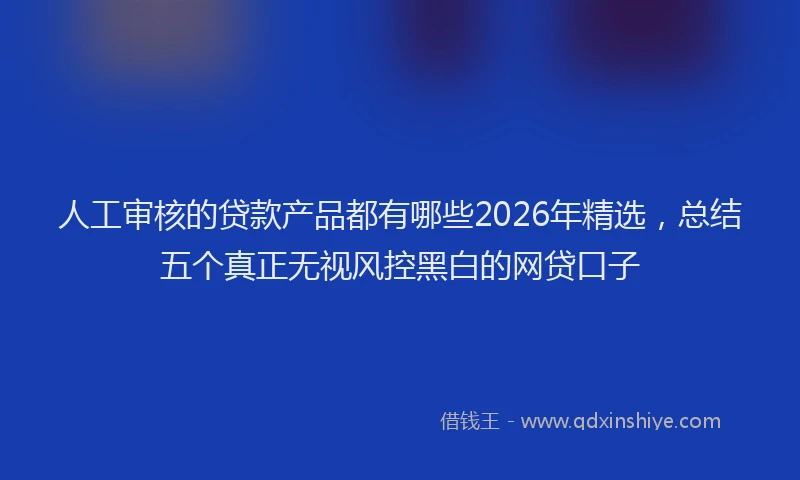 人工审核的贷款产品都有哪些2026年精选，总结五个真正无视风控黑白的网贷口子