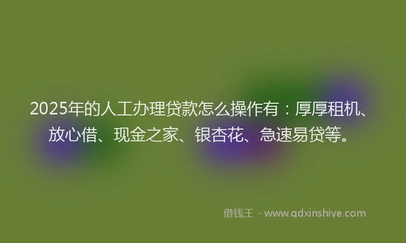 2025年的人工办理贷款怎么操作有:厚厚租机、放心借、现金之家、银杏花、急速易贷等。
