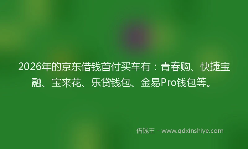2026年的京东借钱首付买车有：青春购、快捷宝融、宝来花、乐贷钱包、金易Pro钱包等。