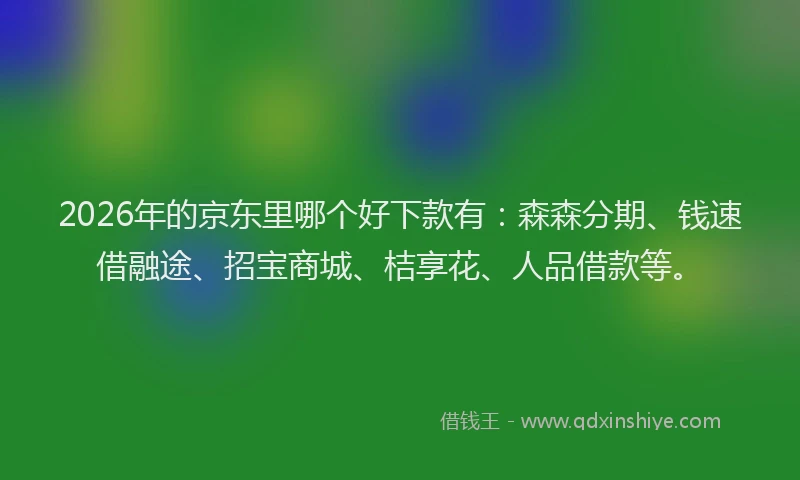 2026年的京东里哪个好下款有：森森分期、钱速借融途、招宝商城、桔享花、人品借款等。