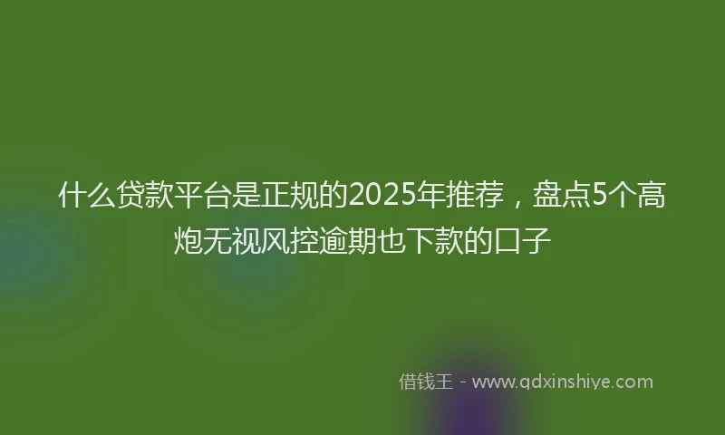 什么贷款平台是正规的2025年推荐，盘点5个高炮无视风控逾期也下款的口子