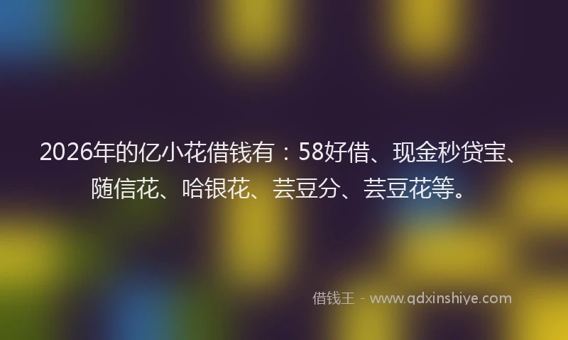 2026年的亿小花借钱有：58好借、现金秒贷宝、随信花、哈银花、芸豆分、芸豆花等。