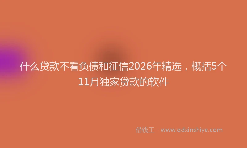 什么贷款不看负债和征信2026年精选，概括5个11月独家贷款的软件