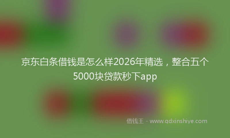 京东白条借钱是怎么样2026年精选，整合五个5000块贷款秒下app