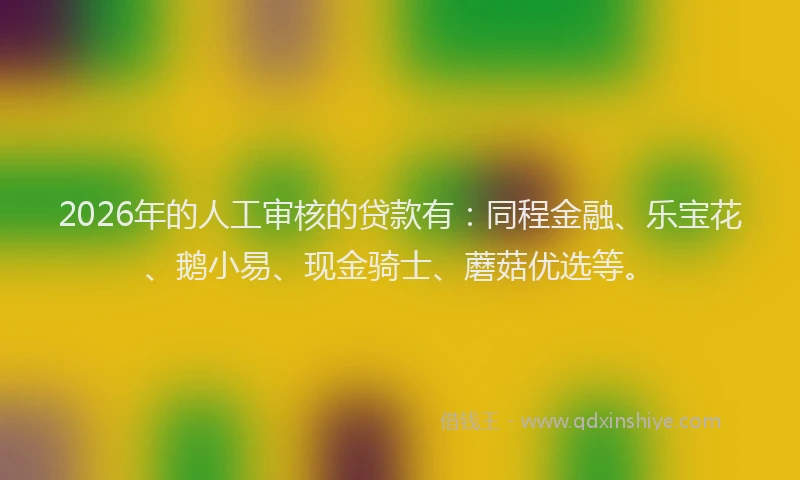 2026年的人工审核的贷款有：同程金融、乐宝花、鹅小易、现金骑士、蘑菇优选等。