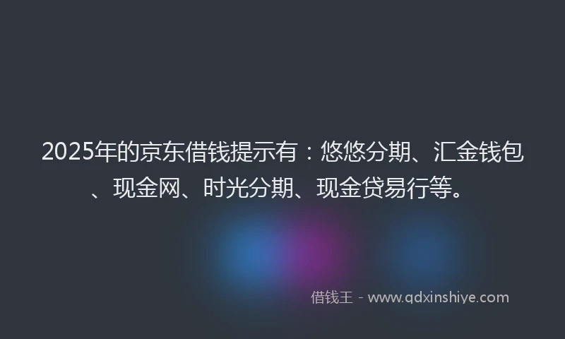 2025年的京东借钱提示有：悠悠分期、汇金钱包、现金网、时光分期、现金贷易行等。