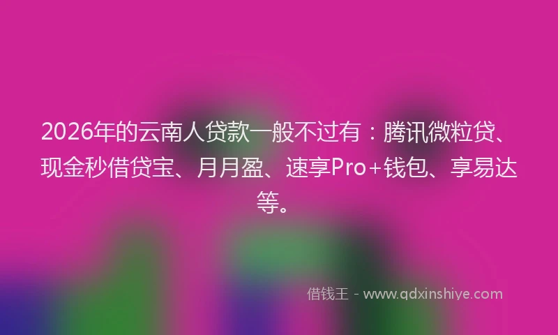 2026年的云南人贷款一般不过有:腾讯微粒贷、现金秒借贷宝、月月盈、速享Pro+钱包、享易达等。
