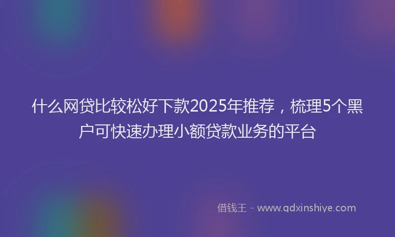 什么网贷比较松好下款2025年推荐，梳理5个黑户可快速办理小额贷款业务的平台