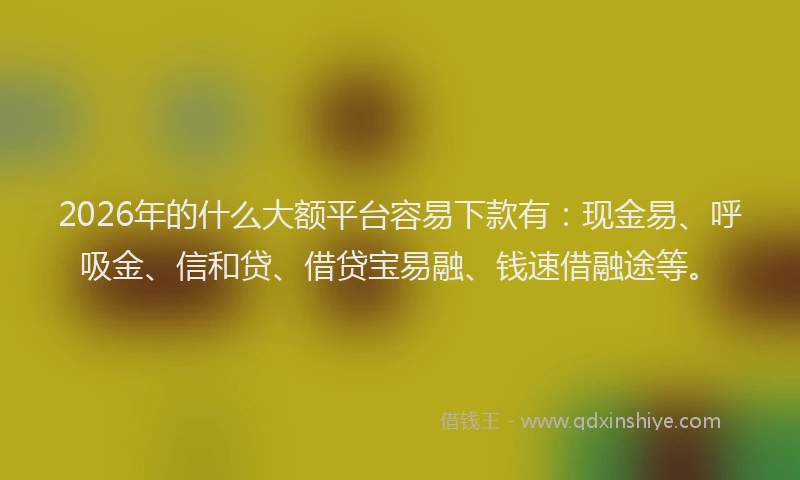 2026年的什么大额平台容易下款有：现金易、呼吸金、信和贷、借贷宝易融、钱速借融途等。