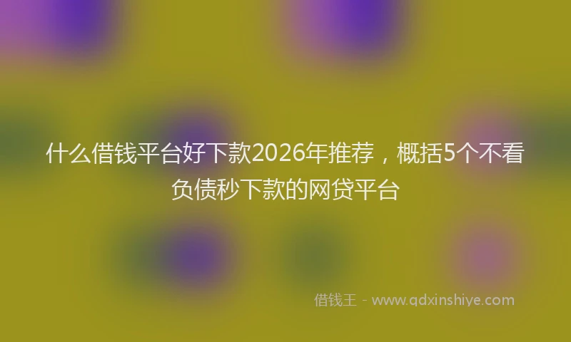 什么借钱平台好下款2026年推荐，概括5个不看负债秒下款的网贷平台