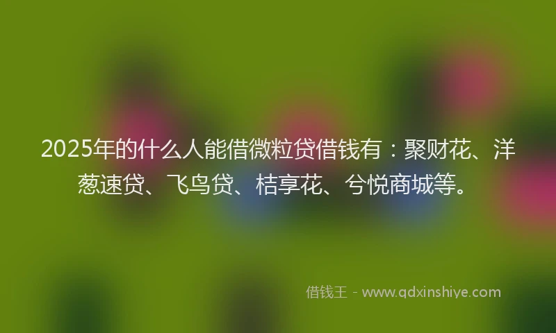 2025年的什么人能借微粒贷借钱有:聚财花、洋葱速贷、飞鸟贷、桔享花、兮悦商城等。