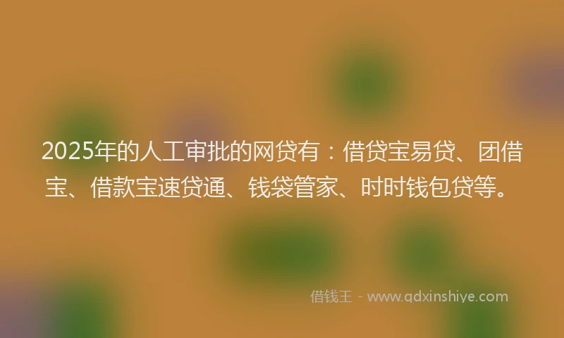2025年的人工审批的网贷有：借贷宝易贷、团借宝、借款宝速贷通、钱袋管家、时时钱包贷等。