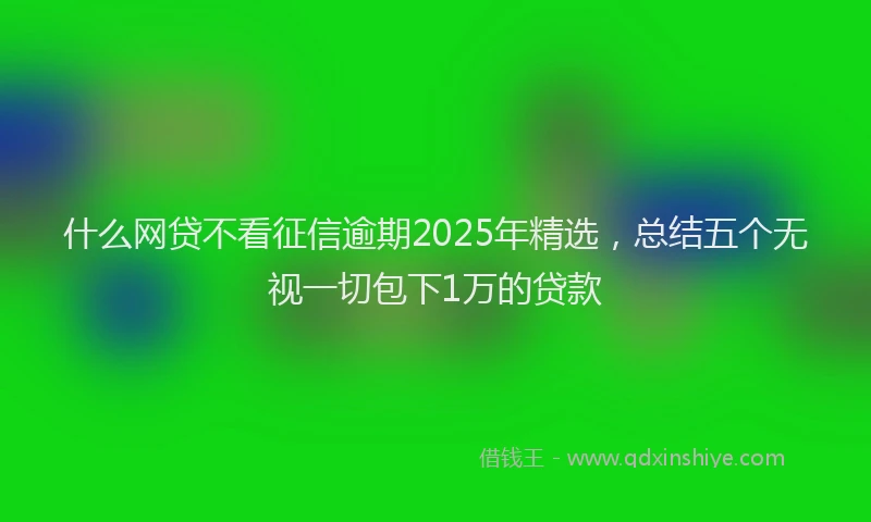 什么网贷不看征信逾期2025年精选，总结五个无视一切包下1万的贷款