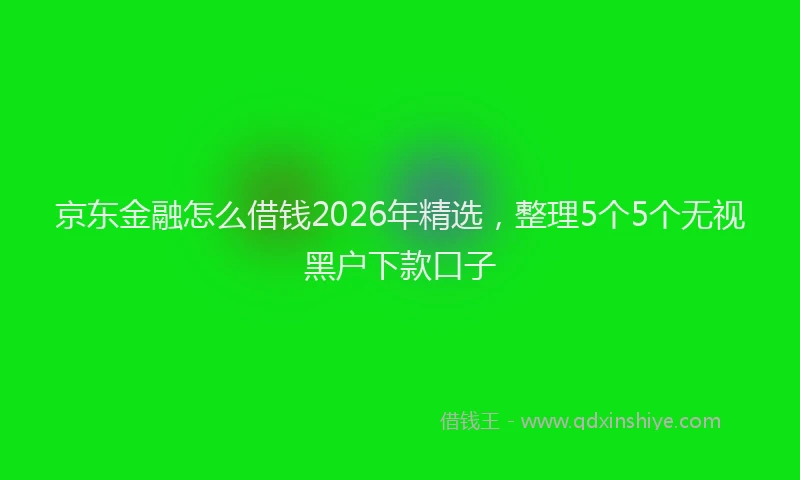 京东金融怎么借钱2026年精选，整理5个5个无视黑户下款口子