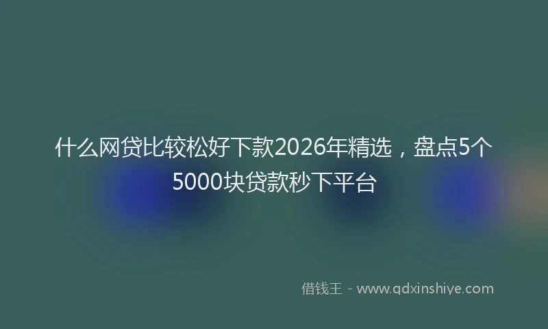 什么网贷比较松好下款2026年精选，盘点5个5000块贷款秒下平台