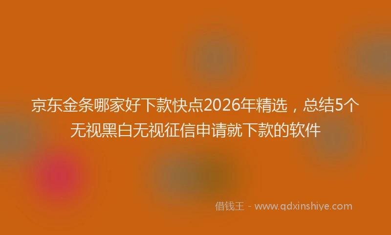 京东金条哪家好下款快点2026年精选,总结5个无视黑白无视征信申请就下款的软件