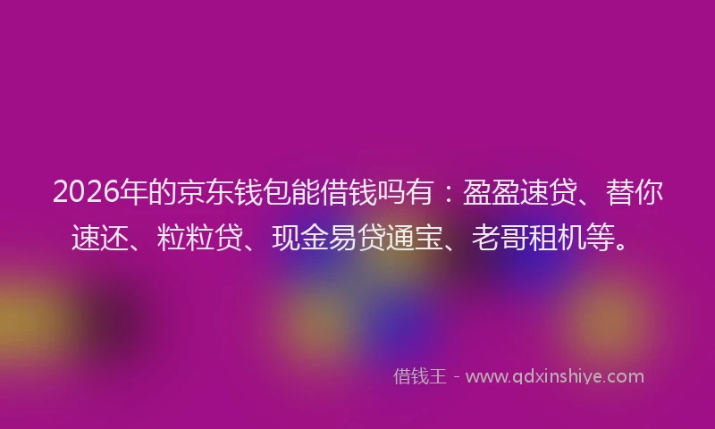 2026年的京东钱包能借钱吗有：盈盈速贷、替你速还、粒粒贷、现金易贷通宝、老哥租机等。
