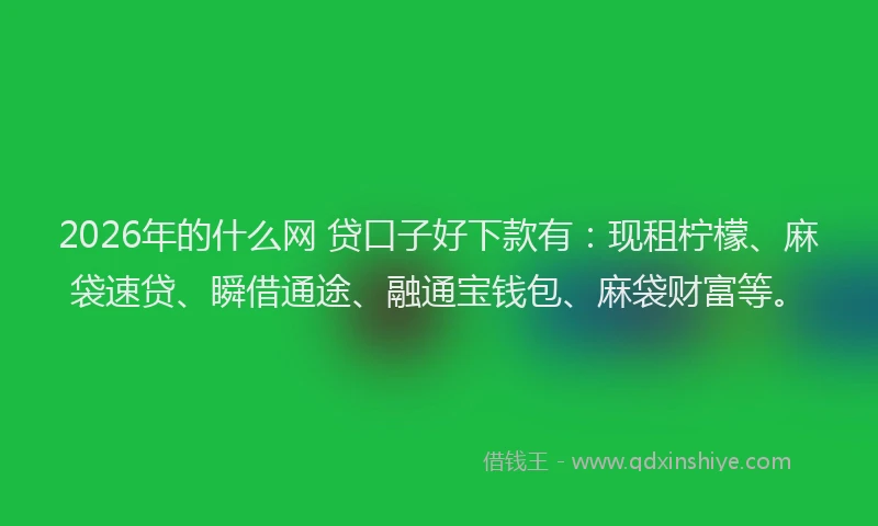 2026年的什么网 贷口子好下款有:现租柠檬、麻袋速贷、瞬借通途、融通宝钱包、麻袋财富等。
