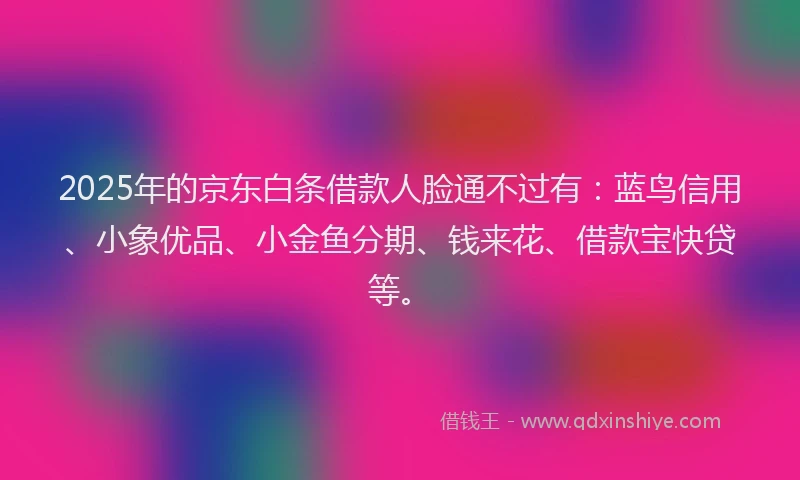 2025年的京东白条借款人脸通不过有：蓝鸟信用、小象优品、小金鱼分期、钱来花、借款宝快贷等。