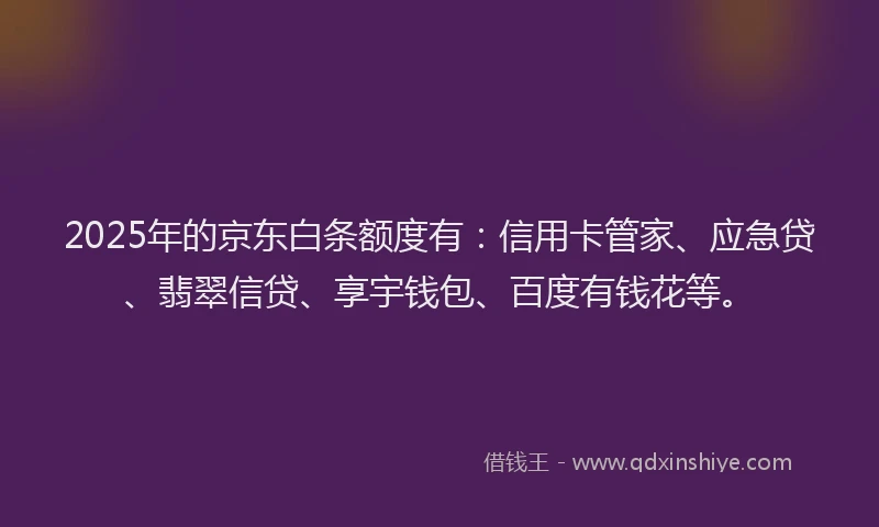 2025年的京东白条额度有：信用卡管家、应急贷、翡翠信贷、享宇钱包、百度有钱花等。