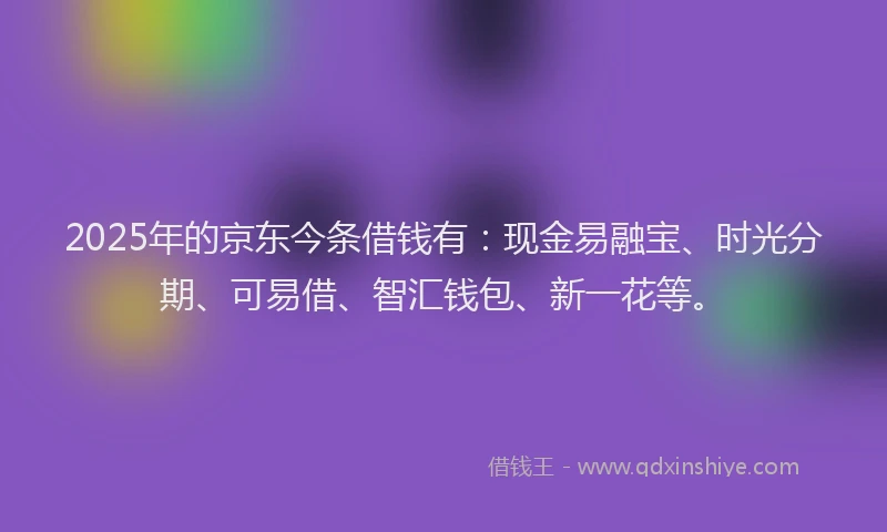 2025年的京东今条借钱有：现金易融宝、时光分期、可易借、智汇钱包、新一花等。