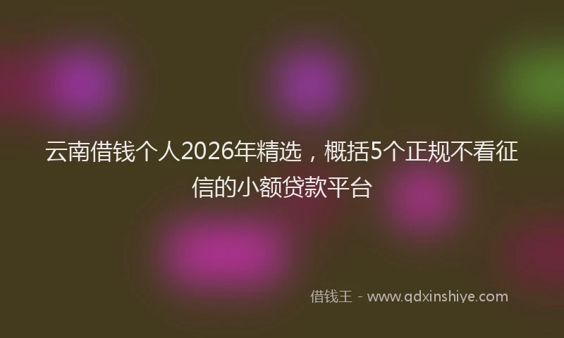 云南借钱个人2026年精选，概括5个正规不看征信的小额贷款平台