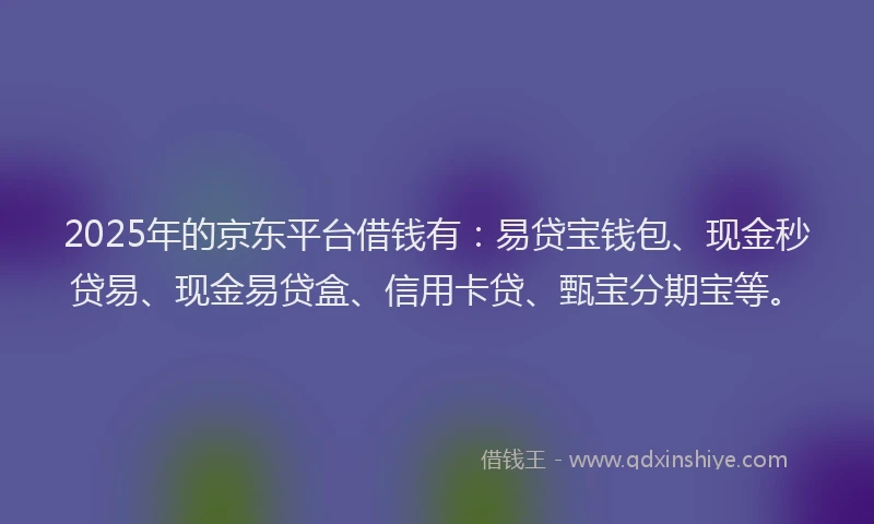 2025年的京东平台借钱有：易贷宝钱包、现金秒贷易、现金易贷盒、信用卡贷、甄宝分期宝等。