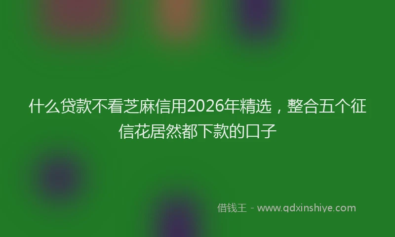 什么贷款不看芝麻信用2026年精选,整合五个征信花居然都下款的口子