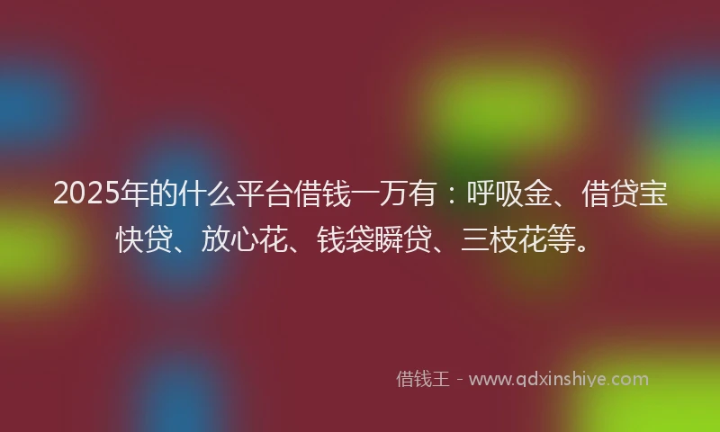 2025年的什么平台借钱一万有：呼吸金、借贷宝快贷、放心花、钱袋瞬贷、三枝花等。